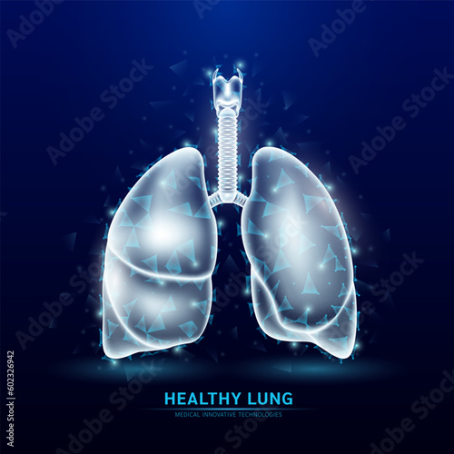 Human lung and trachea white translucent low poly triangles on dark blue background. Futuristic glowing organ anatomy. Innovative technology. Health care medical and science concept. Vector EPS10.