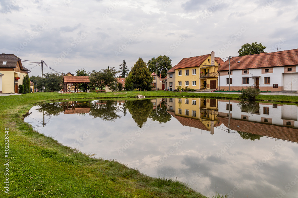 Pond in Vilemovice village, Czech Republic