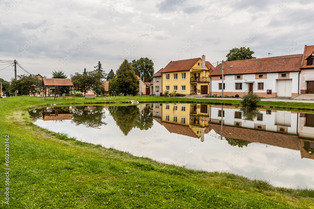 Pond in Vilemovice village, Czech Republic