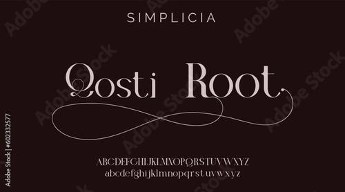 Elegant and modern font luxury typography fonts logo font premium vector