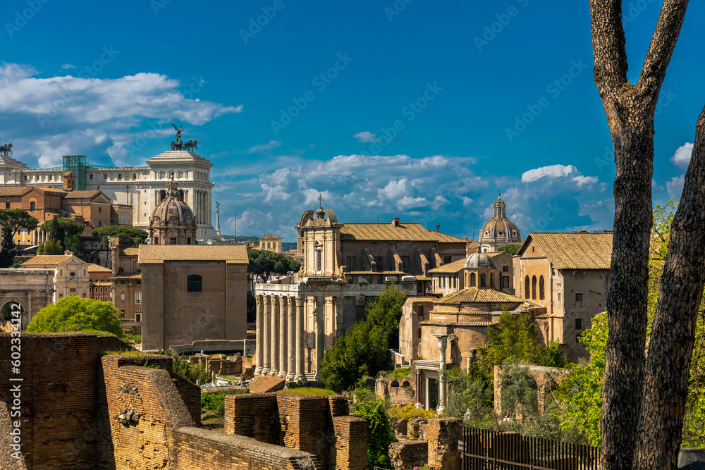 Roman Forum in Rome, Lazio, Italy