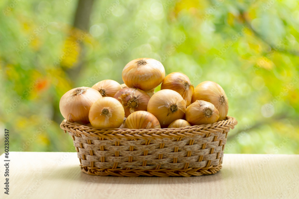 Fresh ripe onion in basket. Healthy natural food on table on defocus autumn background.