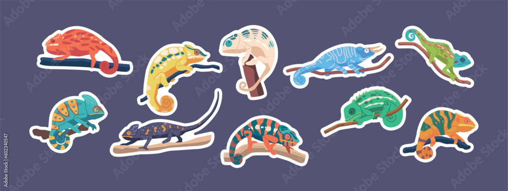 Set Of Stickers Chameleon Reptiles On Branches. Lizards With Long, Sticky Tongues And Distinctive Eyes, Patches - obrazy, fototapety, plakaty 