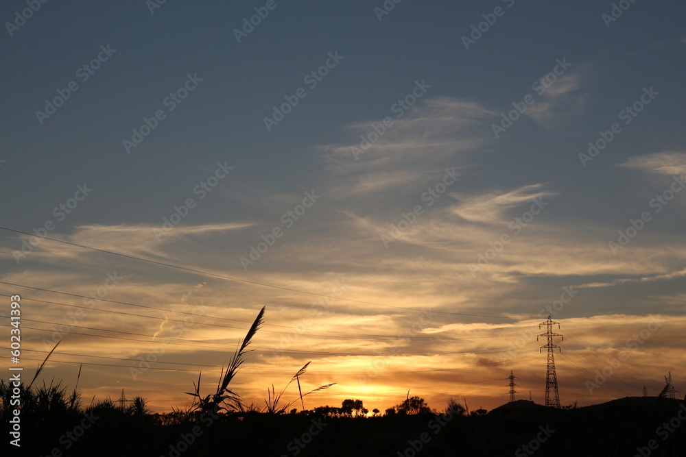 Obraz premium Sunset in the field.