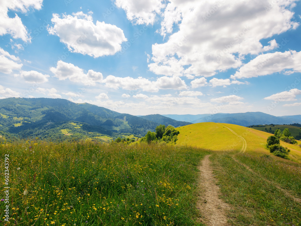 path through hills and grassy meadows. explore the mountainous countryside of transcarpathia. summer vacations in ukraine