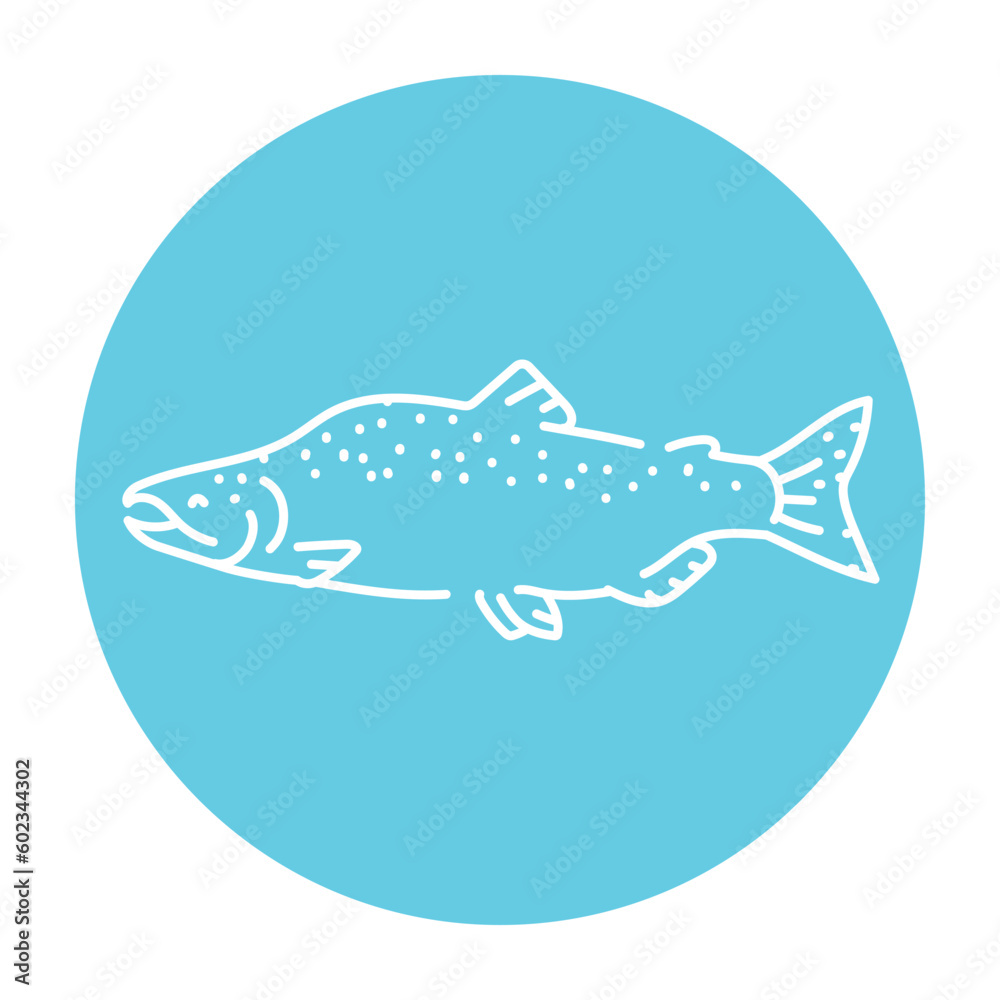 Pink salmon color line illustration. Ocean fishes
