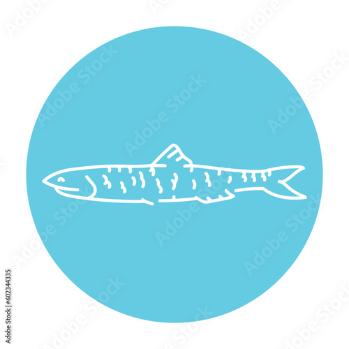 Anchovy color line illustration. Ocean fishes