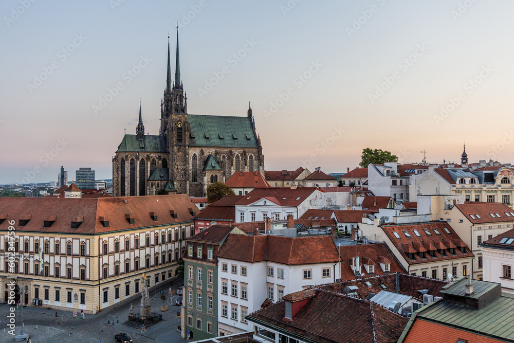 Obraz na płótnie Skyline of Brno city with the cathedral of St. Peter and Paul, Czech Republic w salonie