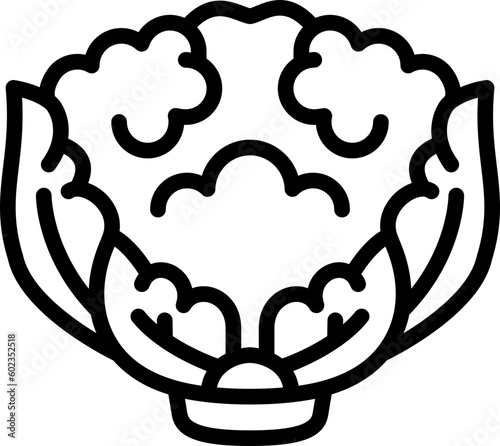 cauliflower icon