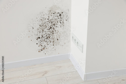 Cuadro en lienzo White wall affected with mold in room