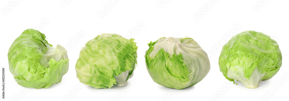Collage with fresh iceberg lettuce heads on white background Collage with fresh iceberg lettuce heads on white background