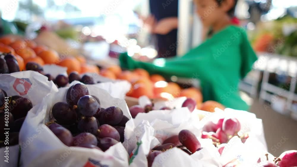Experience the joy of organic shopping with this vibrant stock video. Join a young 35-year-old mother and her two adorable kids, aged 5 and 7, as they explore a bustling farmers market on a sunny day. Experience the joy of organic shopping with this vibrant stock video. Join a young 35-year-old mother and her two adorable kids, aged 5 and 7, as they explore a bustling farmers market on a sunny day.