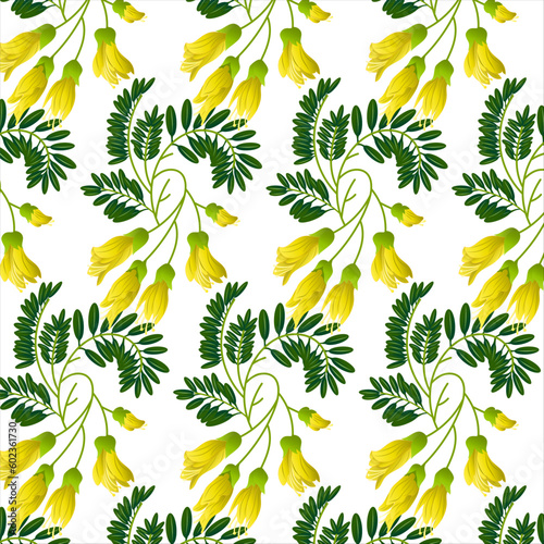Floral seamless vector pattern of kowhai flowers. Kowhai floral and white background. photo