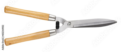 Gardening tool equipment. Scissors for pruning the hedge in stainless steel with wooden grip. Spring time and garden work concept. Top view isolated on white background