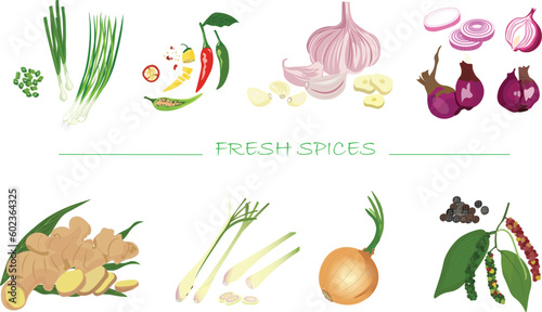 Fresh spices vector set illustration isolated on white background. Green onion. Garlic. Ginger. Lemongrass. Onion. Shallot. Peppercorn. Chilli. Cartoon style. Spices and herbs vector set.
