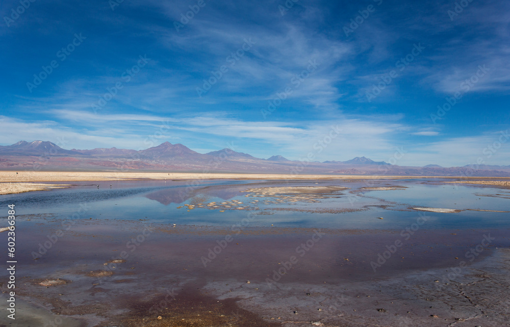 Obraz premium View of Chaxa lagoon
