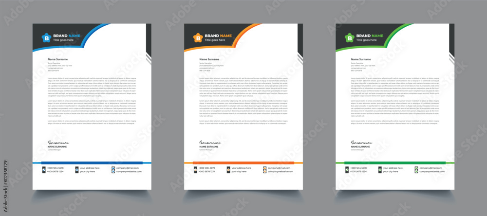 Vector professional and modern business letterhead template