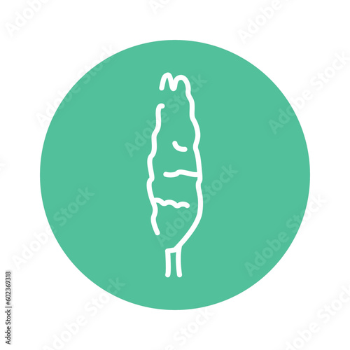Poplar tree color line icon. Pictogram for web page