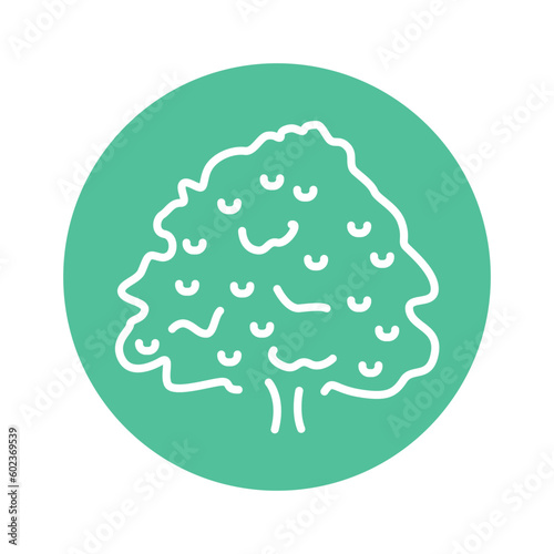 Chestnut tree color line icon. Pictogram for web page