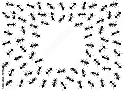 Group of ants around an empty circle. Background with copy space