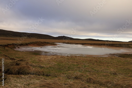 View on the Selt  n Geothermal Area in the south of Iceland