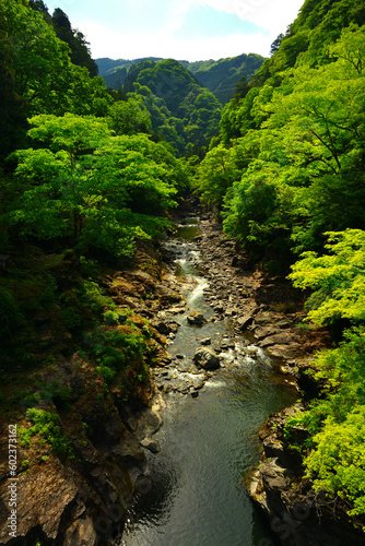 三峰登竜渓_埼玉県秩父市大滝
