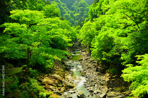 三峰登竜渓_埼玉県秩父市大滝
