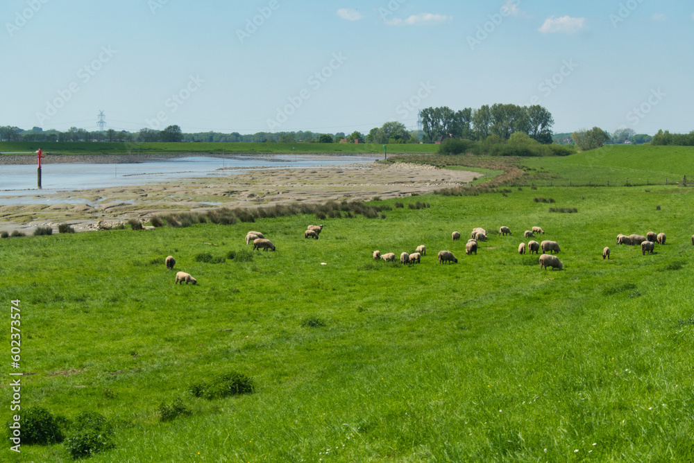 Die Ems bei Papenburg