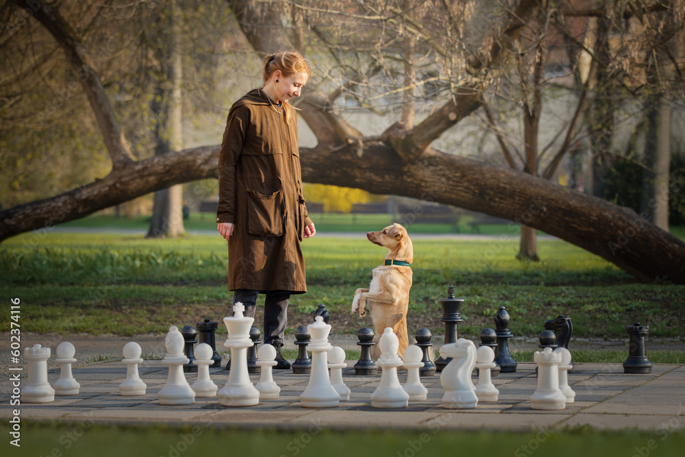 Beautiful girl and little red dog and big chess