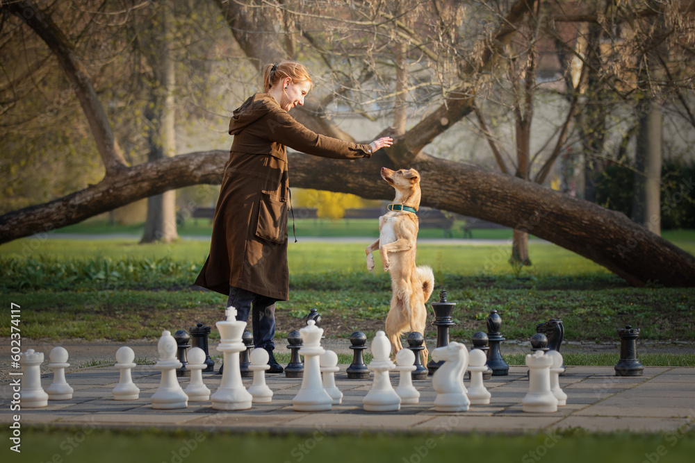 Beautiful girl and little red dog and big chess