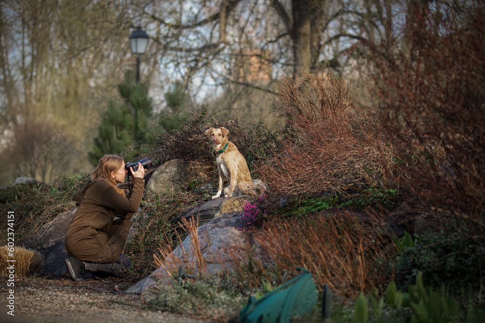 Beautiful blonde girl photographs dog in the park