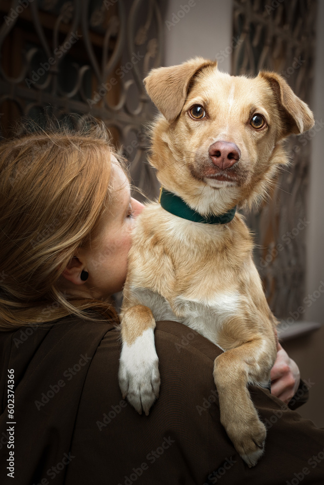 Portrait of beautiful blonde girl with a dog