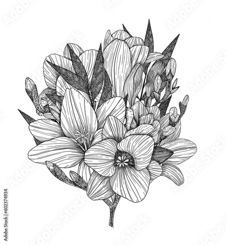 Freesia. A bouquet of freesia flowers and twigs. Flower arrangement. Hand-drawn. Graphics. Engraving
