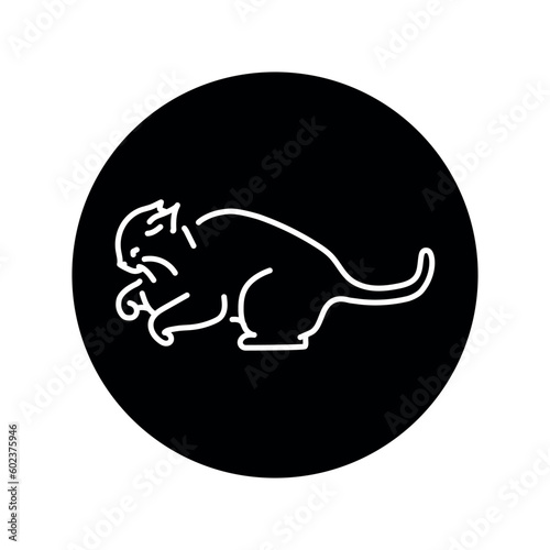 Evil cat fights color line icon. Pictogram for web page