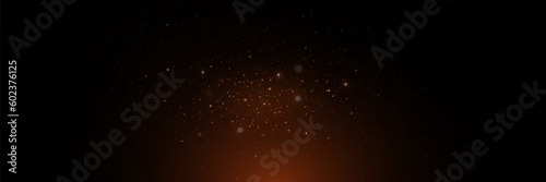 Golden particles of light  shining stars  dust  glitter. On a black background.