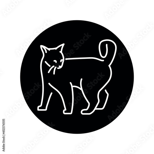 Playful cat standing color line icon. Pictogram for web page