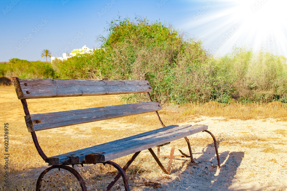 beautiful bench near the sea shore on nature background beautiful bench near the sea shore on nature background