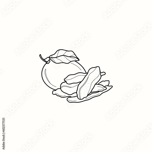 Line art dried mango illustration