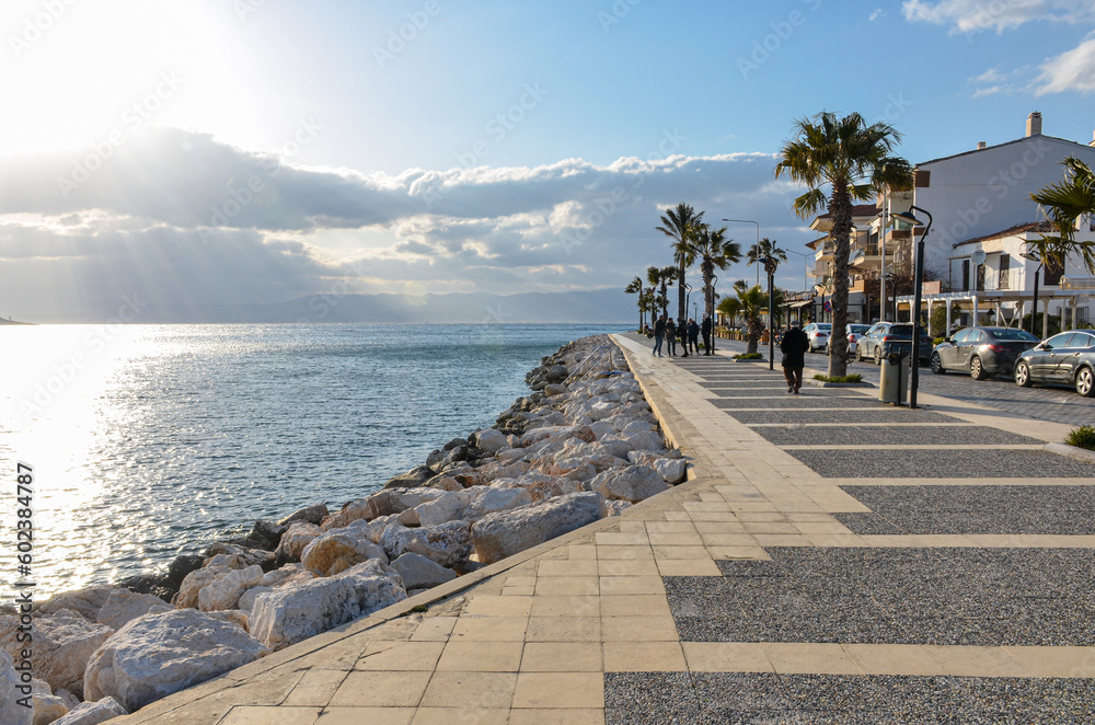 palms on Cesme Harbor Esplanade (Izmir province, Turkiye)  