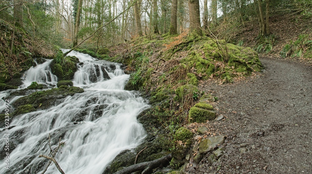 Obraz premium A small creek