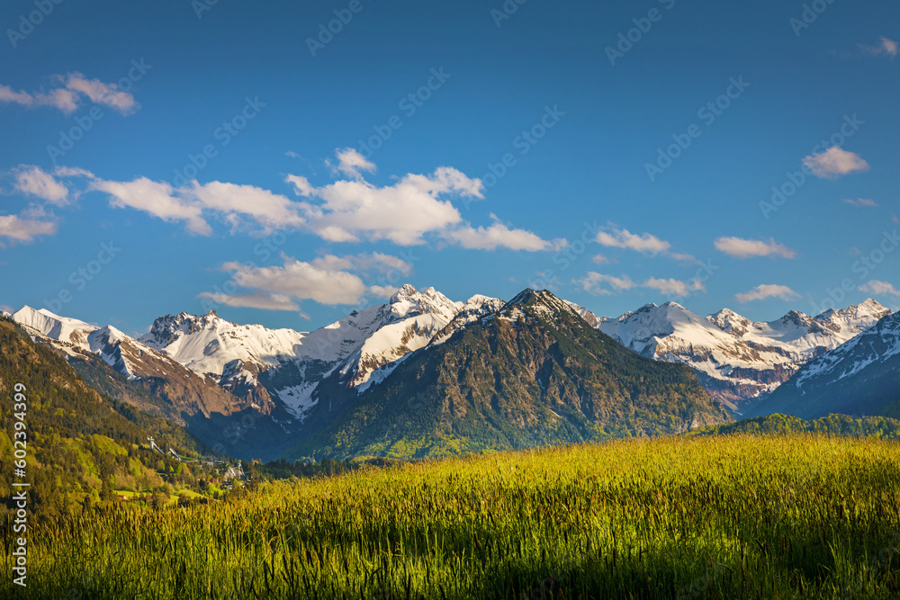 Obraz premium Allgäu - Frühling - Oberstdorf - Löwenzahn - Panorama - Berge 