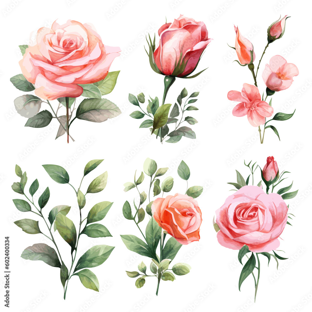 Set of floral watecolor. Flower pink rose, green leaves. Floral poster, invitation floral. Vector arrangements for greeting card or invitation design
