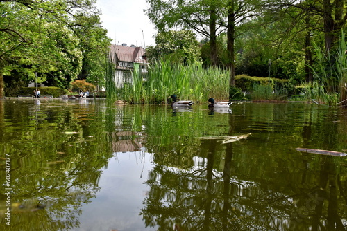 Teich im Freiburger Stadtgarten im Frühling