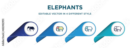 elephants icon in 4 different styles such as filled, color, glyph, colorful, lineal color. set of vector for web, mobile, ui