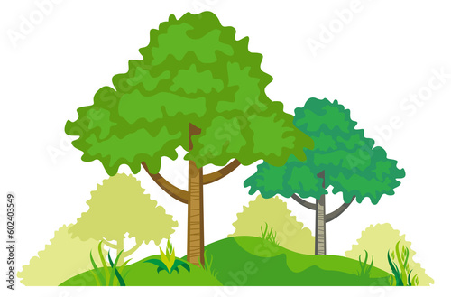 Woodland landscape. Cartoon trees growing from green ground