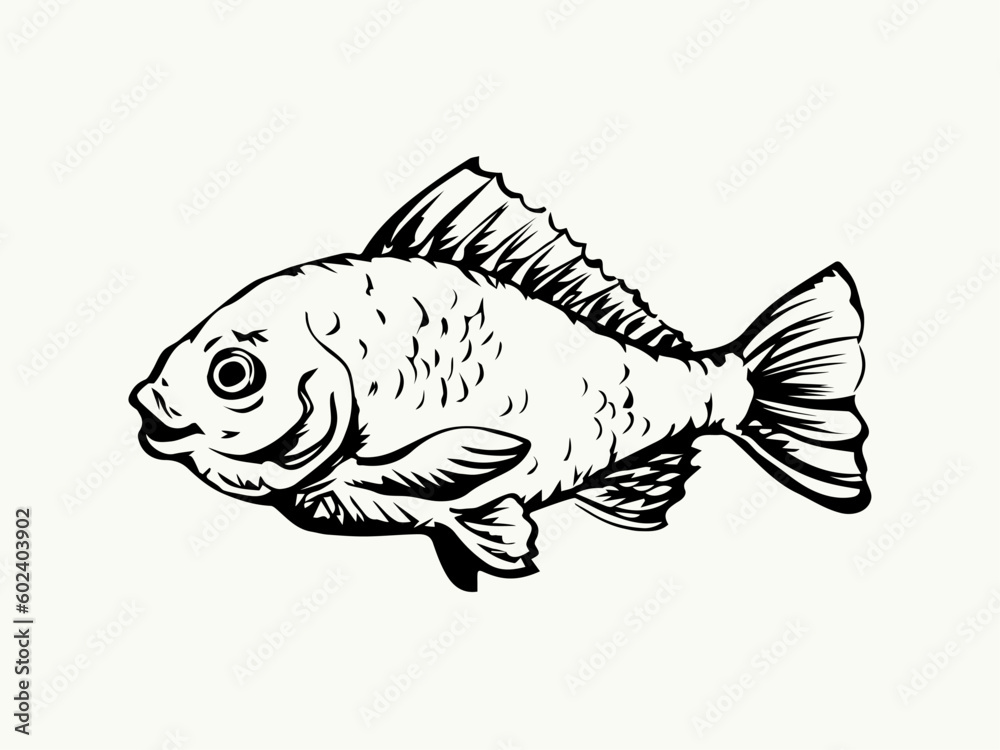 Vector drawing. Fish in the water Vector drawing. Fish in the water