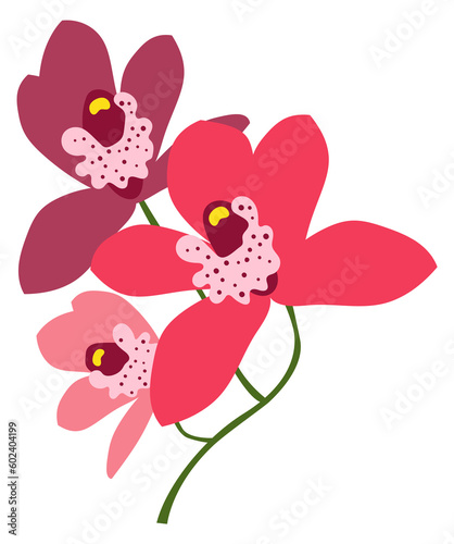 Exotic flower icon. Pink tropical natural blossom © ONYXprj
