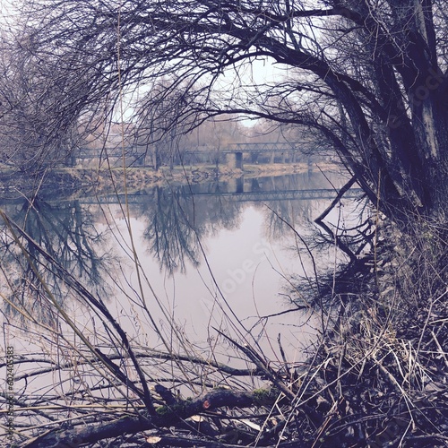 Donau bei Regensburg