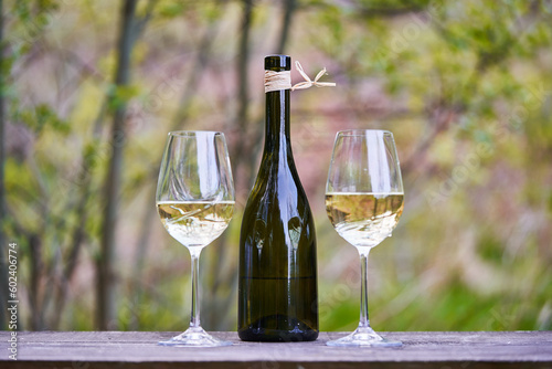 Two glasses of white wine and traditional style of bottle with organic white wine outdoor in the vineyard ready for the degustation in Czech republic. Close up picture is taken in calm spring evening.