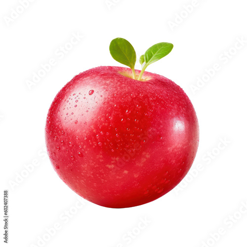 A  close-up  image  of  a  single  fresh  radish